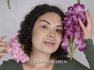 Penniezeiden