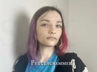 Petulacrammer