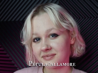Petulagallamore