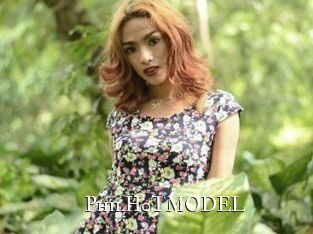 PhilH0TMODEL