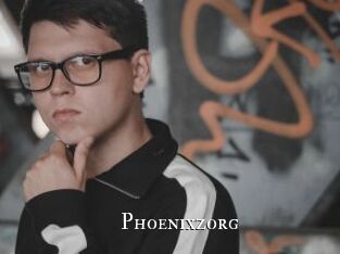 Phoenixzorg