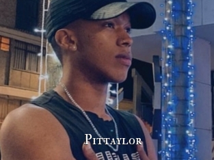 pittaylor cams