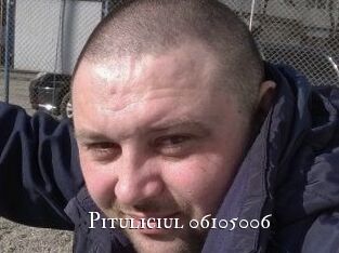 Pituliciul-06105006