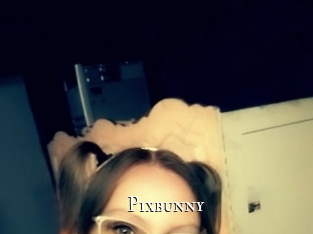 Pixbunny