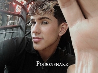 Poisonsnake