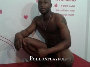 Pollonplayful