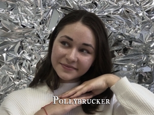 Pollybrucker