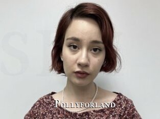 Pollyforland
