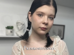 Primrosefenney