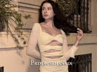 Primrosehankin
