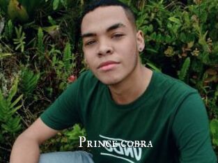 prince_cobra cams