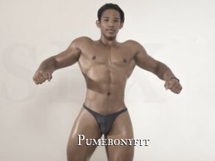 Pumebonyfit