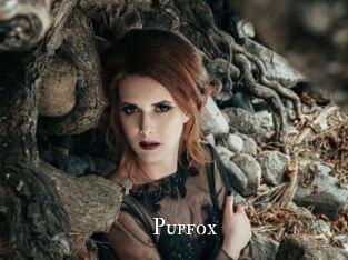pupfox cams