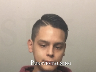 Purevestalnino