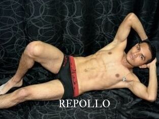 REPOLLO