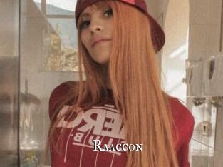 Raaccon