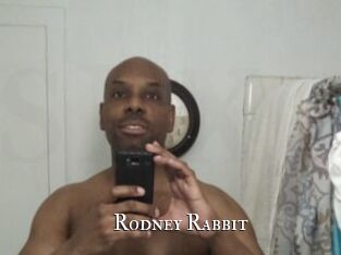 Rodney_Rabbit