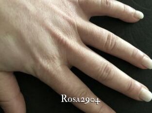 Rosa2904