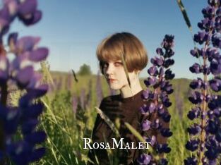 RosaMalet