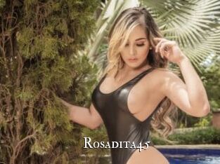 Rosadita45 cams
