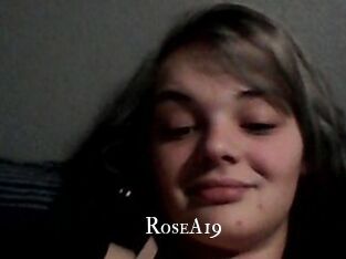 RoseA19 cams