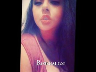 Rosegal101