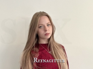 Reynagitter