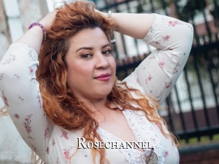 rosechannel cams