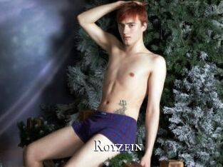 Royzein