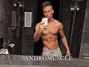 SANDRO_MUSCLE