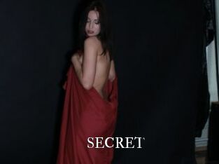 SECRET