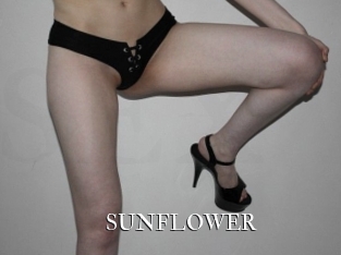 SUNFLOWER cams