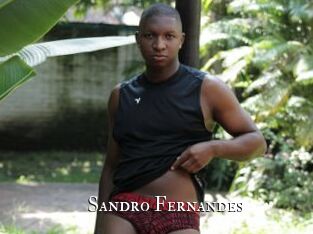 Sandro_Fernandes
