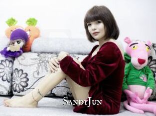 SandyJun cams