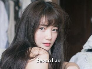 SandyLin cams