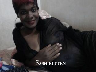 Sash_kitten