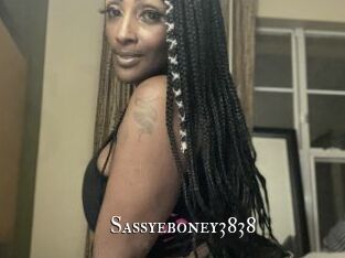 Sassyeboney3838 cams