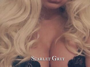 Scarlet_Grey cams