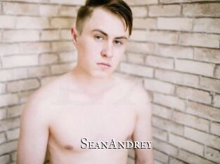 SeanAndrey cams