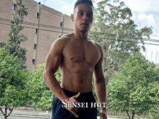 Sensei_hot