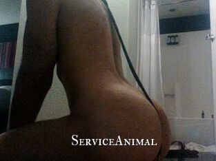 ServiceAnimal