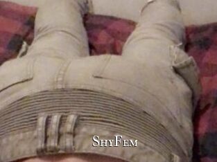 ShyFem