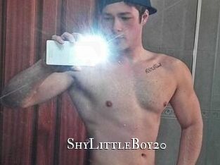 ShyLittleBoy20