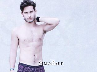 SimoBale cams