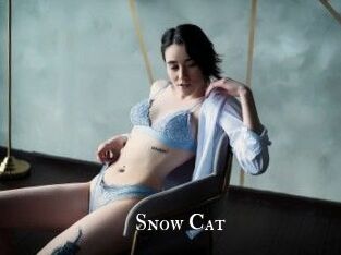 Snow_Cat