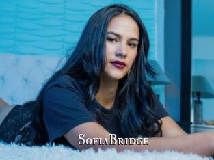 SofiaBridge