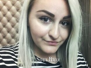 SoulBree cams