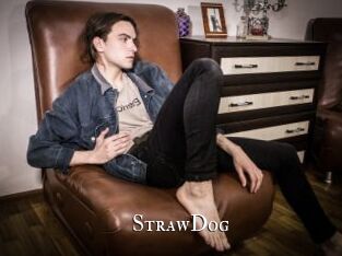 StrawDog cams