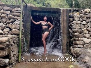 StunningAsianCOCK