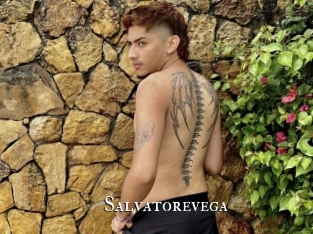 Salvatorevega